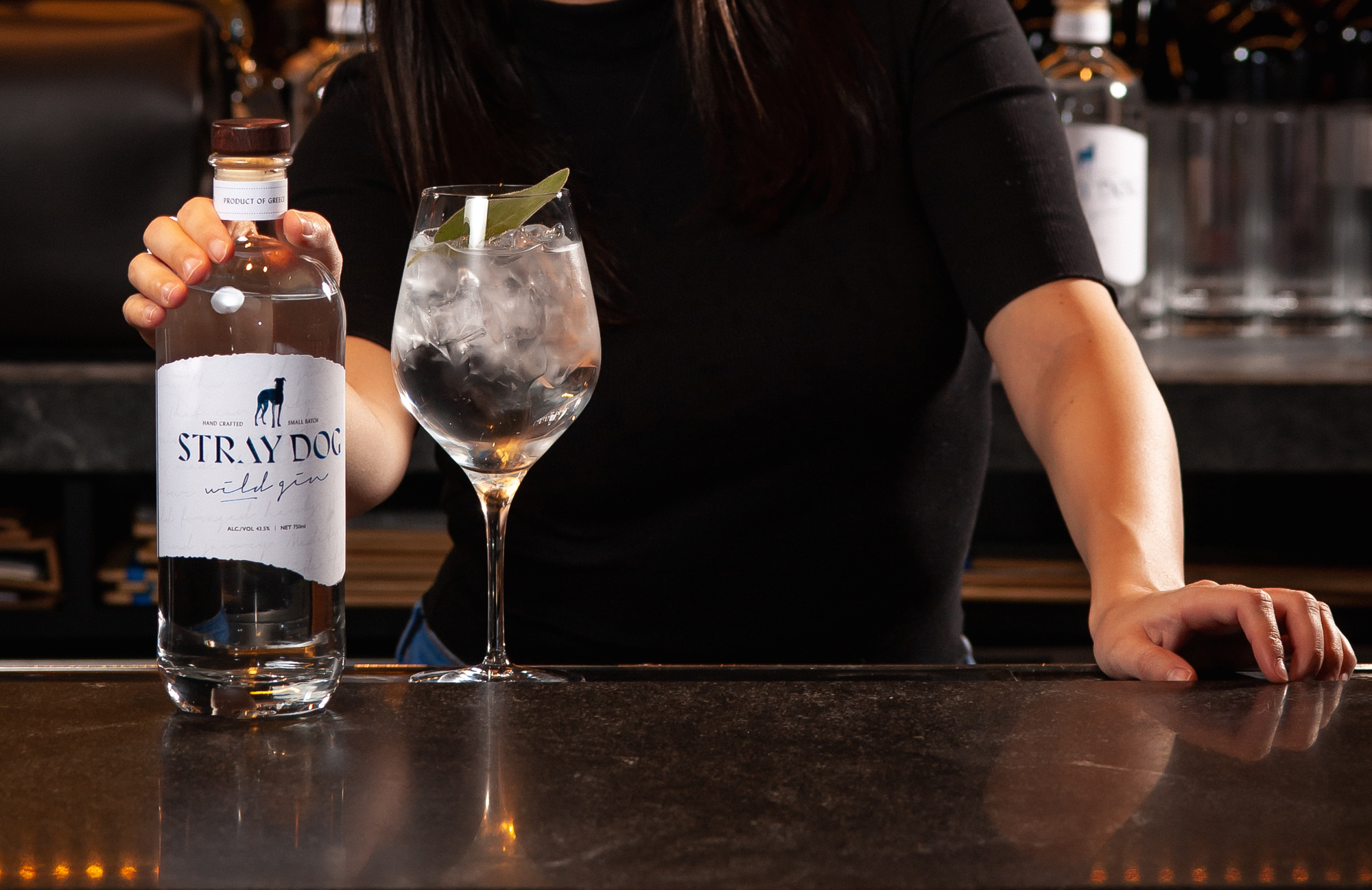 Stray Dog Wild Gin Buy